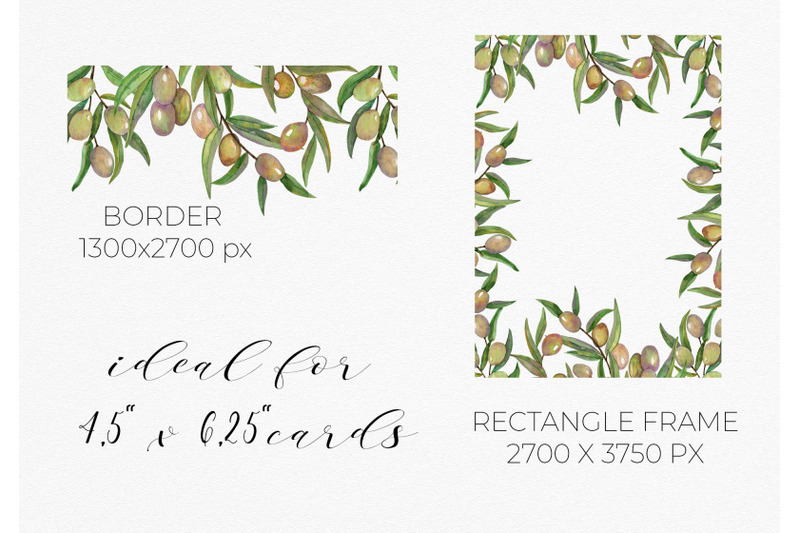 green-olive-branches-watercolor-graphic-elements-frames