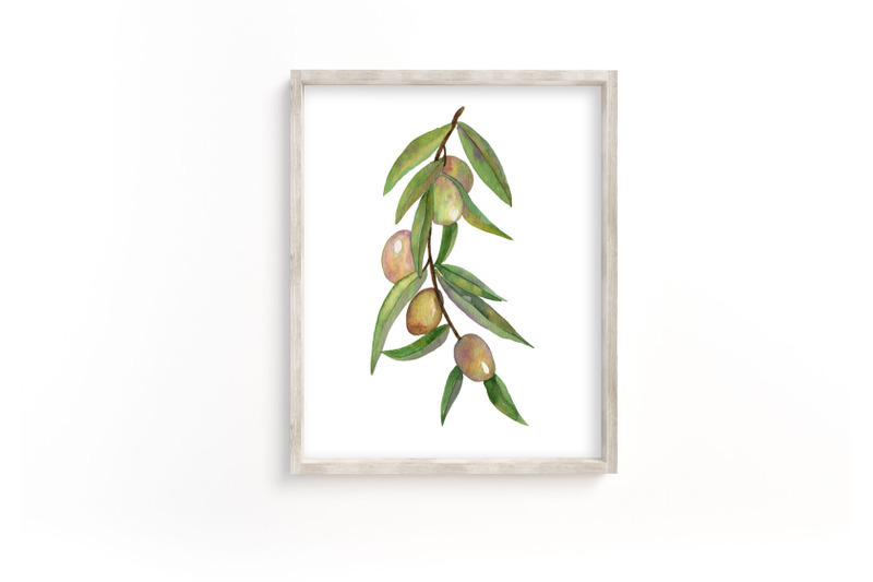 green-olive-branches-watercolor-graphic-elements-frames