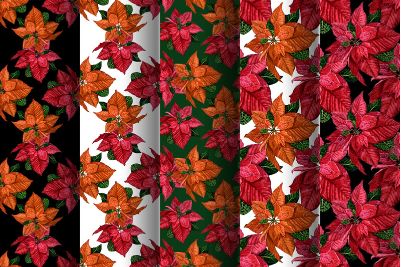 christmas-winter-digital-paper-red-poinsettia