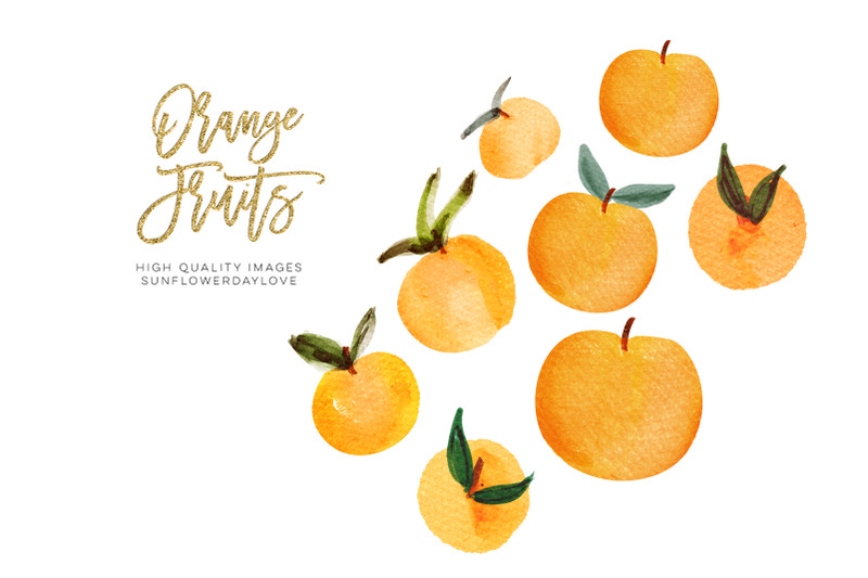 citrus-orange-fruits-clipart-greenery-orange-illustration