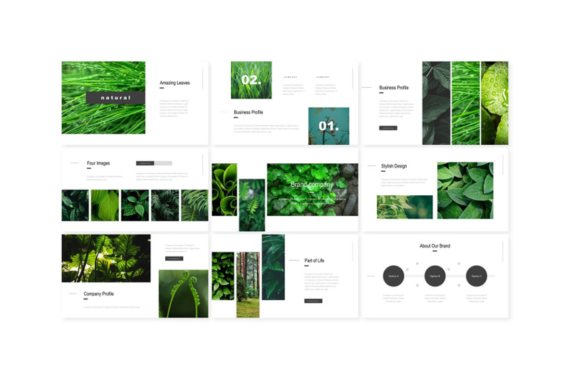 nature-google-slide-template