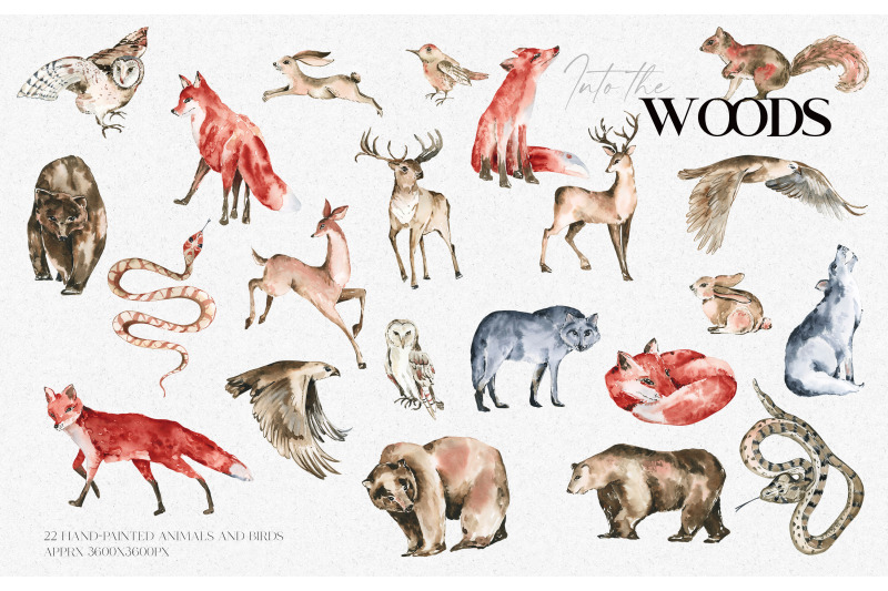 watercolor-forest-animals-clipart-cute-animals-clipart-woodland-anim