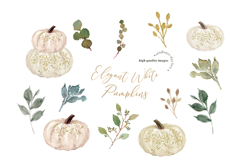elegant-white-cream-pumpkin-bundle-clipart-watercolor-fall-pumpkin