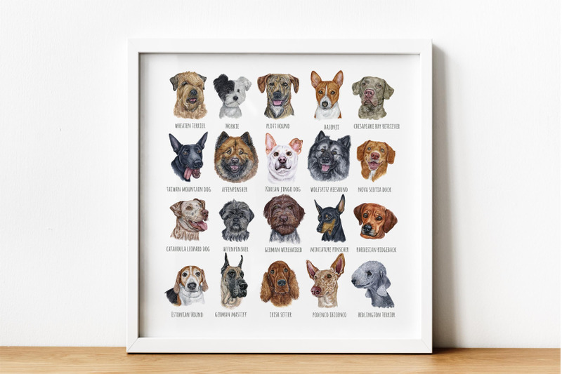 part-5-big-watercolor-illustrations-set-dog-breed-cute-20-dogs