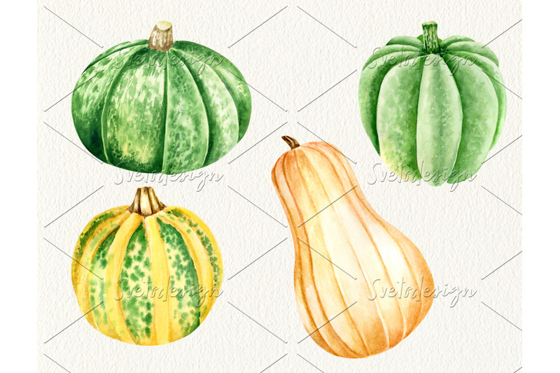 watercolor-pumpking-clipart-set-hand-drawn-thanksgiving-vegetables