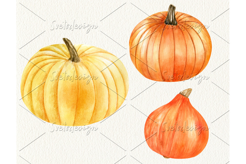 watercolor-pumpking-clipart-set-hand-drawn-thanksgiving-vegetables