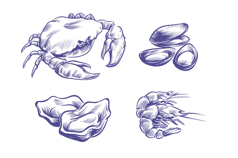 hand-drawn-seafoods-hand-drawn-oysters-and-mussels-crabs-and-shrimps