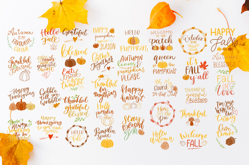 fall-bundle-svg-autumn-thanksgiving