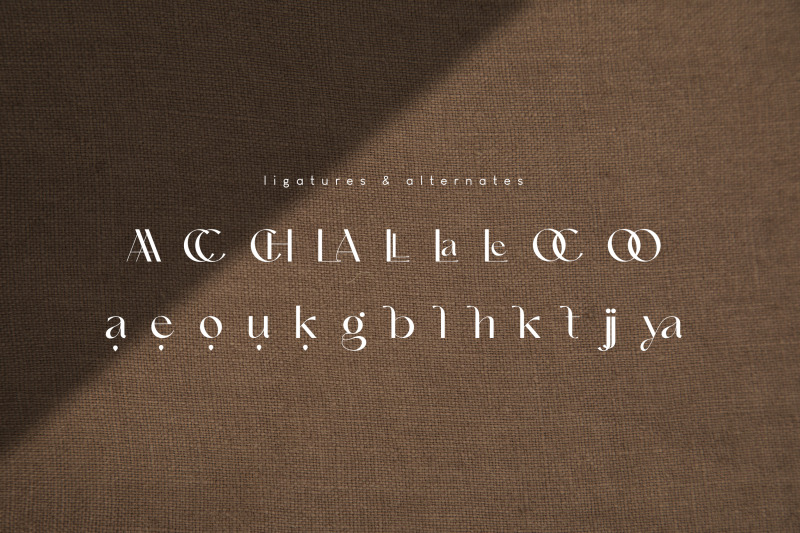 le-amatcky-elegant-sans-serif