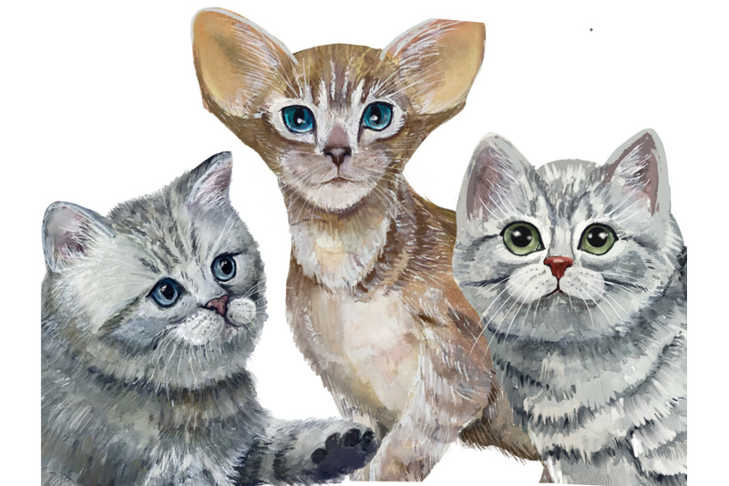 cats-and-kittens-watercolor-clipart