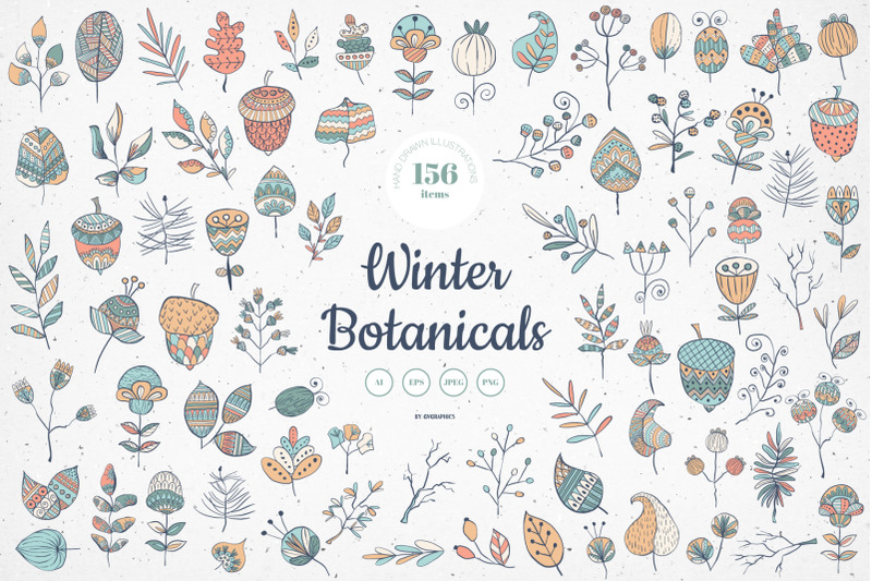 winter-botanicals-vector-illustrations