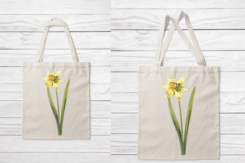 yellow-vintage-wild-flower-daffodil