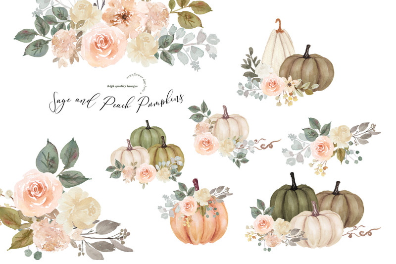 bundle-peach-amp-sage-pumpkin-clipart-watercolor-fall-autumn-pumpkin