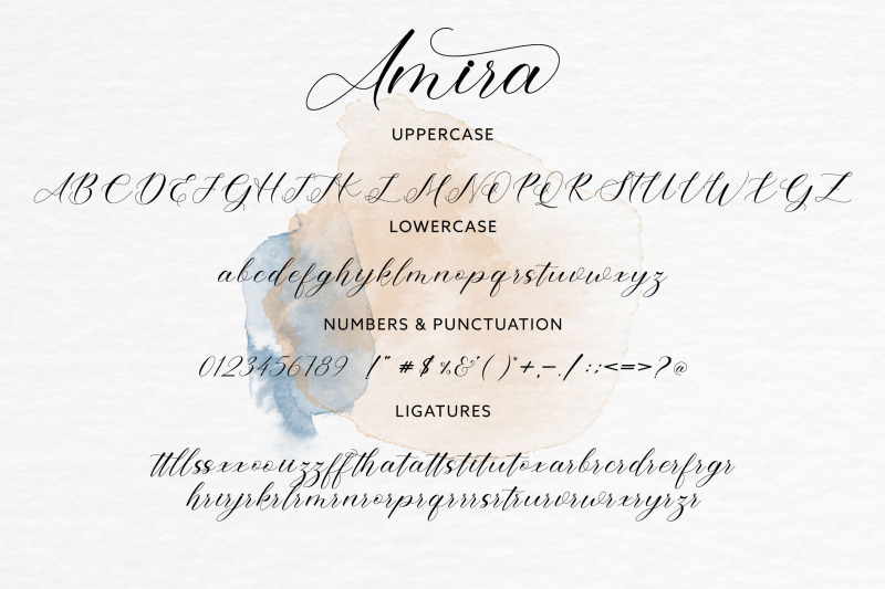 amira-script