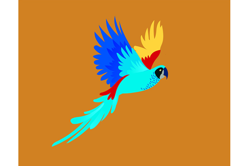 bird