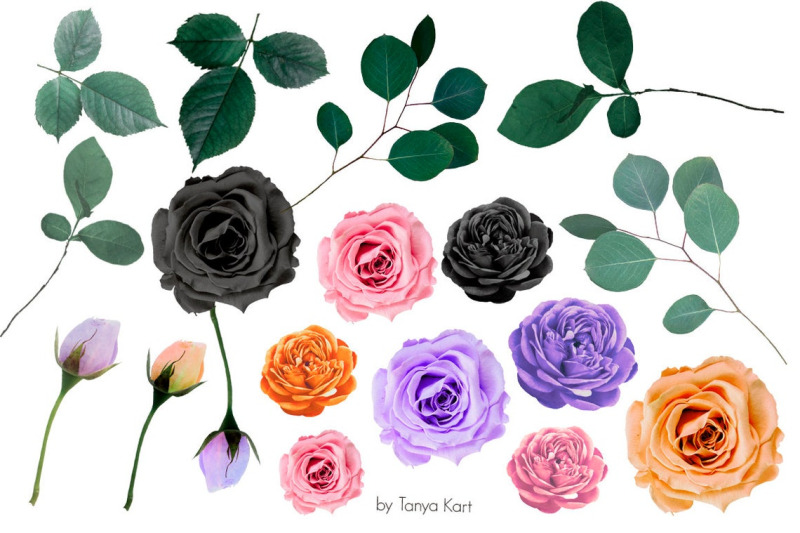 flowers-and-sculls-clip-art