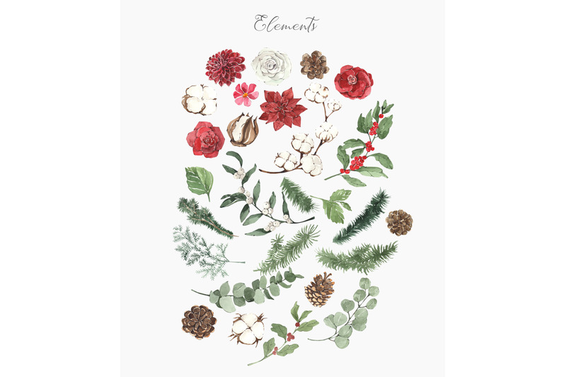 christmas-bloom-watercolor