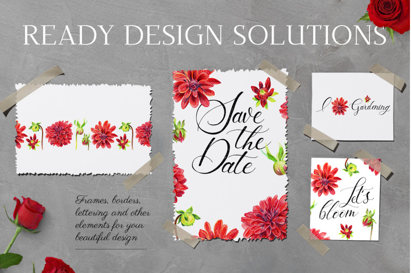 red-dahlia-14-items-in-png-and-psd-300-dpi