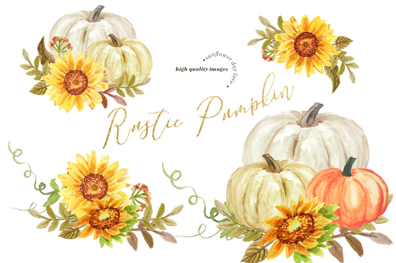 rustic-pumpkin-sunflowers-bundle-clipart