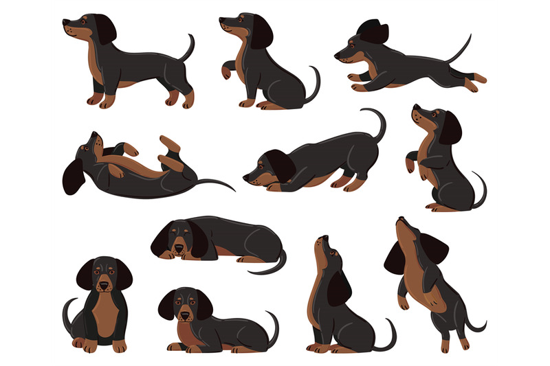 cute-cartoon-dachshund-dog-breed-in-various-poses-dachshund-adorable