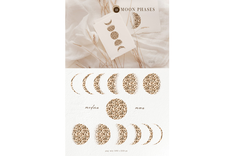 leopard-moon-phases-sublimation-clipart-13-png-files