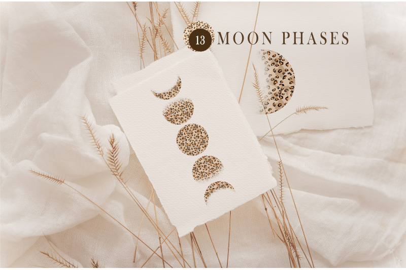 leopard-moon-phases-sublimation-clipart-13-png-files