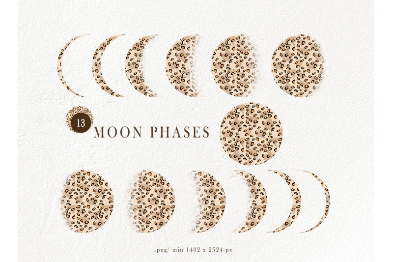 leopard-moon-phases-sublimation-clipart-13-png-files