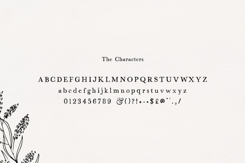 alchemist-serif-font-old-fashioned-fonts-rustic-fonts-serif-fonts