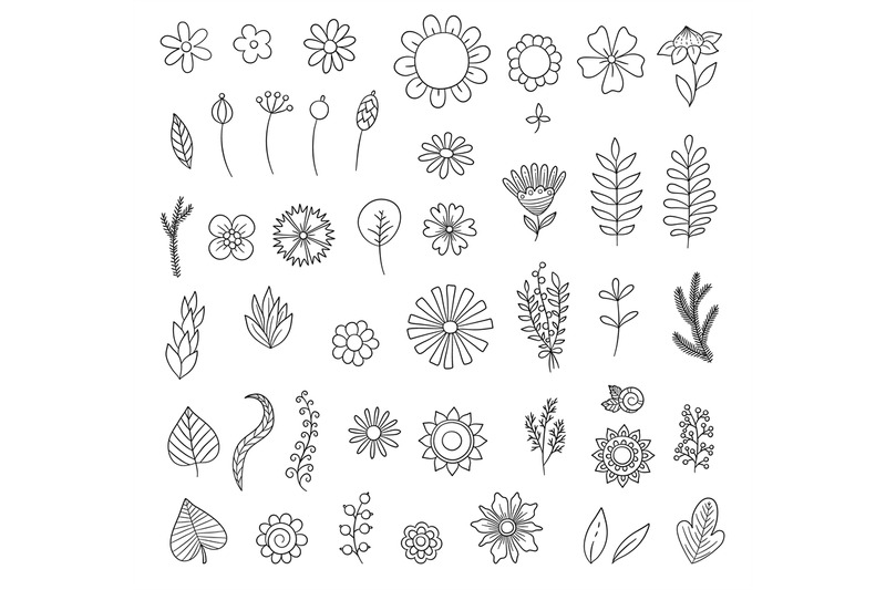 flowers-doodle-simple-floral-botanical-collection-leaves-flowers-bran