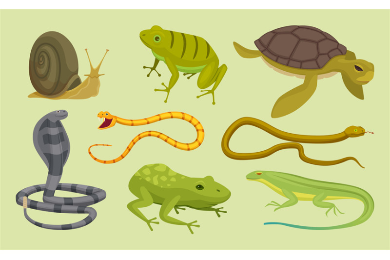 reptiles-set-lizard-snake-turtles-snail-cartoon-vector-wild-animals