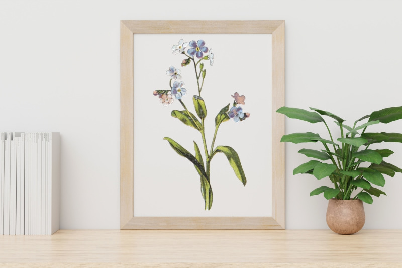 blue-vintage-wild-flower-illustration