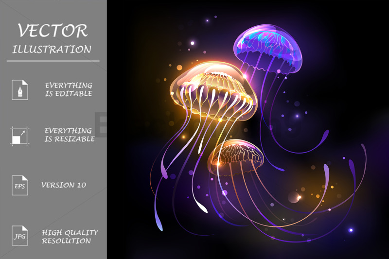 three-glowing-jellyfish