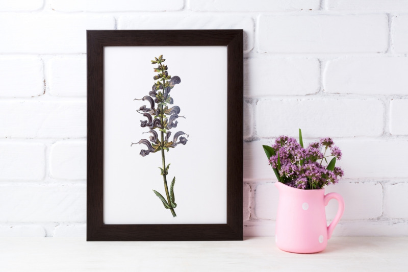 violet-vintage-wild-flower-illustration