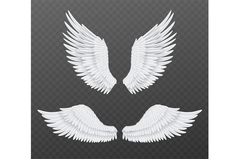 realistic-wings-beautiful-isolated-angel-wings-pair-of-3d-birds-whit