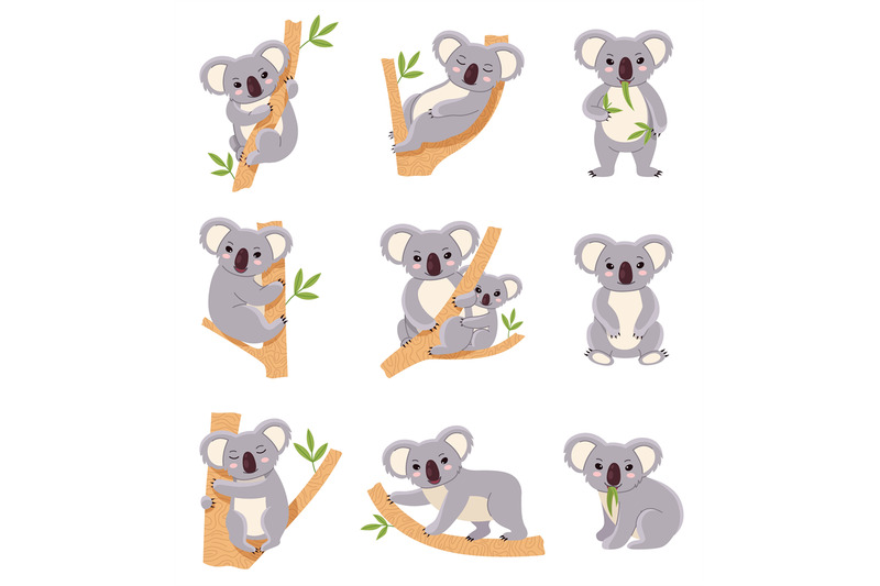 cute-koala-funny-australia-animals-collection-fluffy-gray-mini-bear