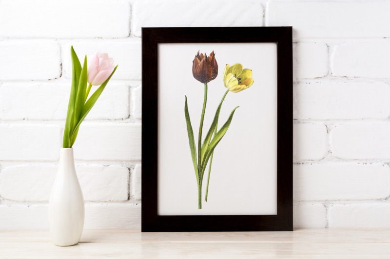 vintage-tulip-illustration