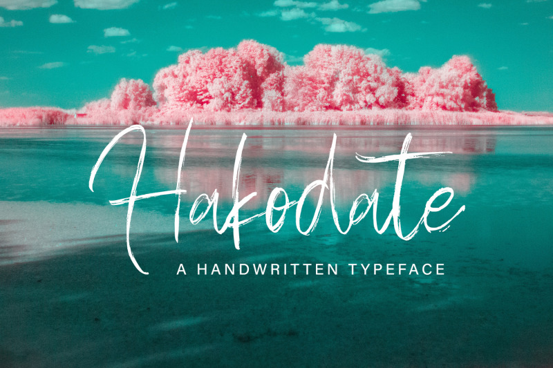 hakodate-handbrush-typeface