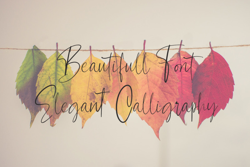 contributor-calligraphy-font