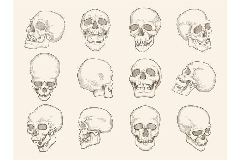 human-skull-anatomy-pictures-of-head-bones-with-eyes-and-mouth-vector