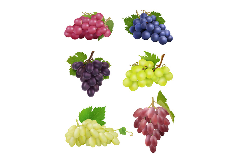 grapes-realistic-white-and-black-grapes-with-leaves-natural-plants-wi