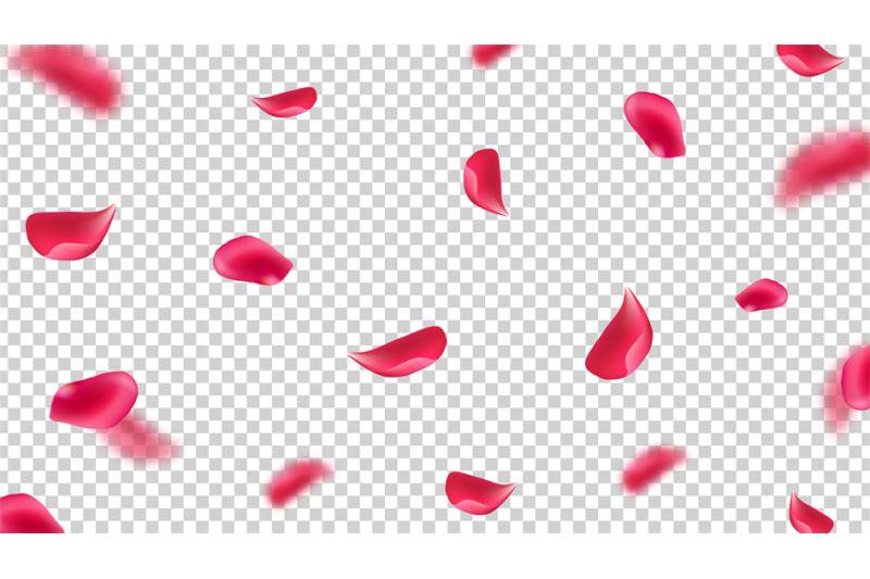 falling-pink-petals-flying-rose-leaves-on-transparent-background-rea