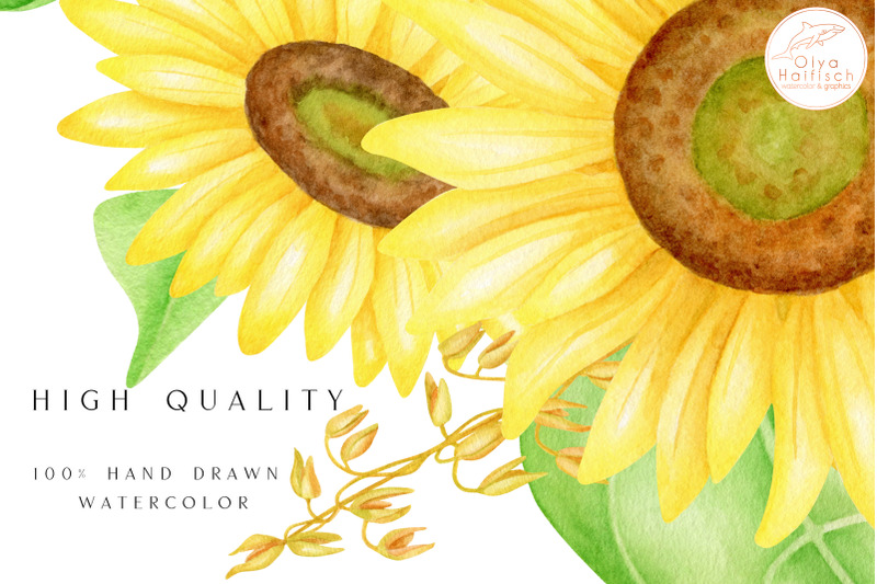 sunflower-png-clipart-watercolor-sunflower-bouquets-set