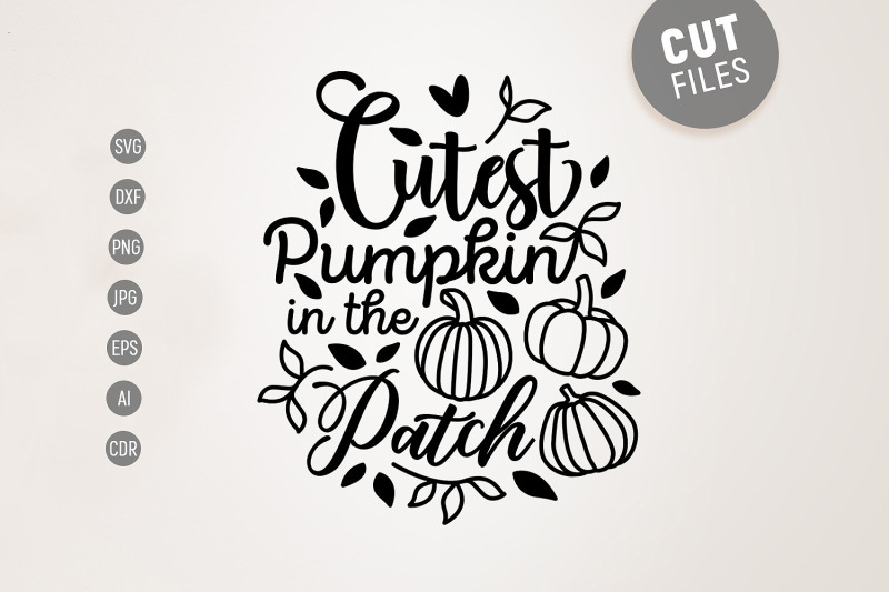 cutest-pumpkin-in-the-patch