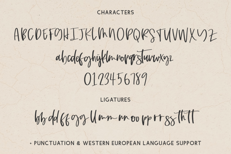 dashwood-script-handwritten-font