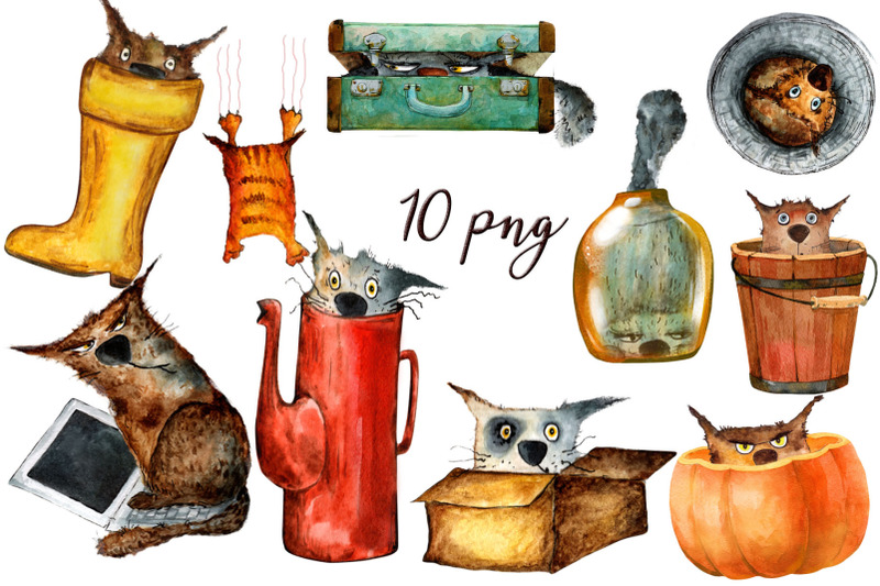 funny-cats-watercolor-drawings-png