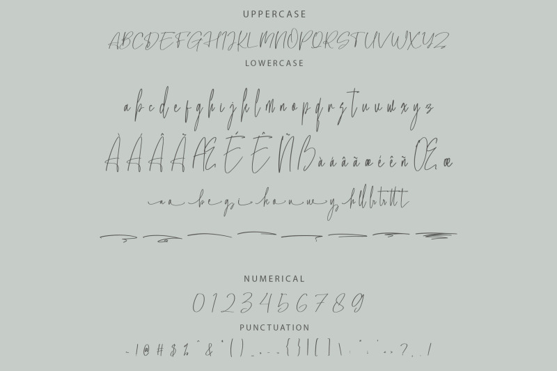 willentia-elegant-script-font