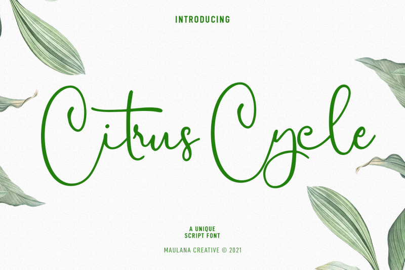 citrus-cycle-script-font