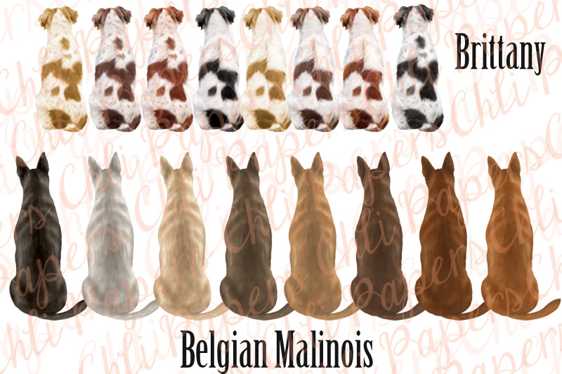 dogs-clip-art-dog-breeds-clipart-dogs-sublimations-mug