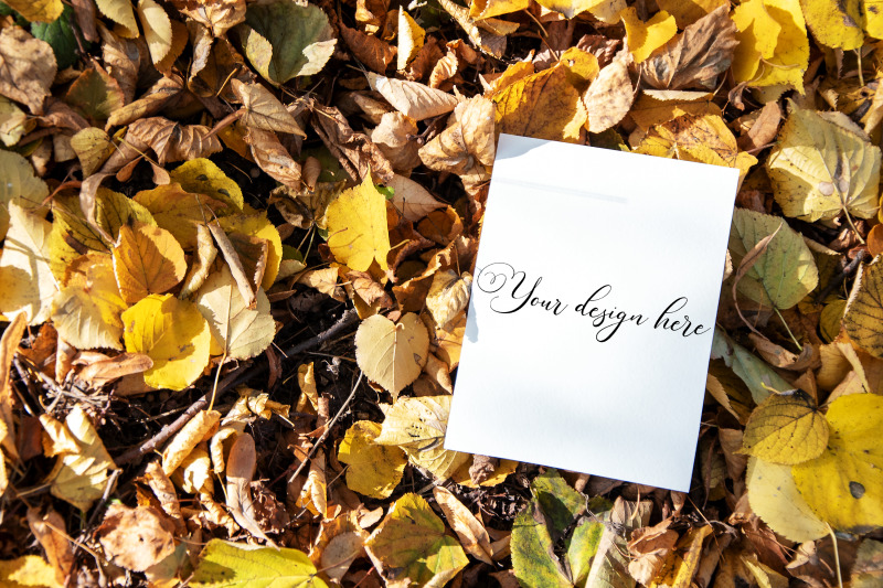 5x7-autumn-card-mockup-fall-mockup-greeting-card-psd-mockup-invitat