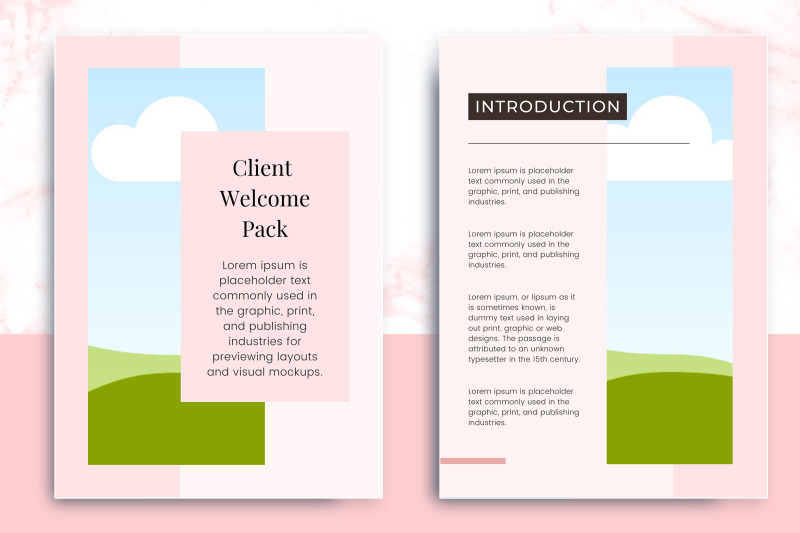 client-welcome-packet-project-presentation-client-onboarding